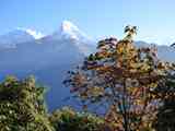 Nepal_ABC_171029_0202