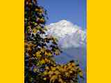 Nepal_ABC_171029_0252