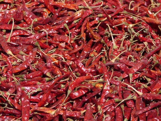 111105_Nepal_Mustang_0183_Ghaza_Kagbeni