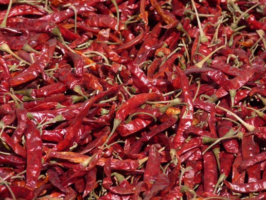 111105_Nepal_Mustang_0184_Ghaza_Kagbeni