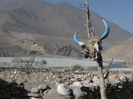 Trekking in Nepal