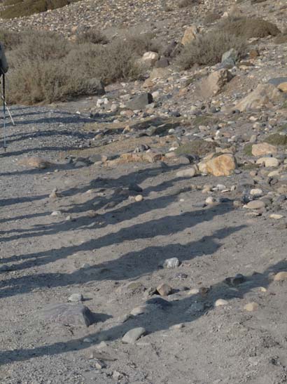 111105_Nepal_Mustang_0221_Ghaza_Kagbeni