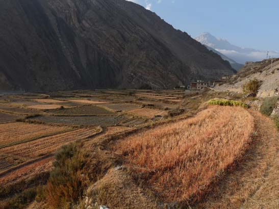 111105_Nepal_Mustang_0245_Ghaza_Kagbeni