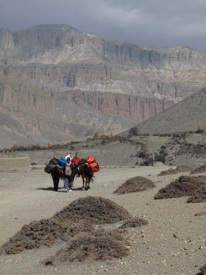 111106_Nepal_Mustang_0278_Kagbeni_Chele