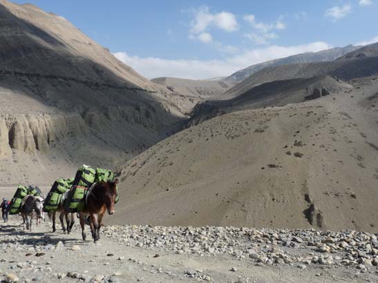 111106_Nepal_Mustang_0290_Kagbeni_Chele