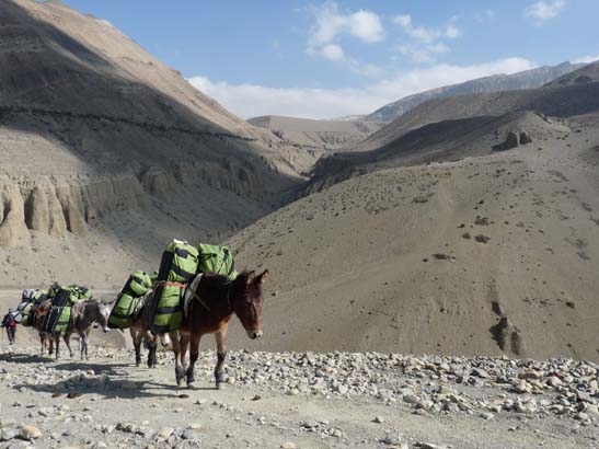 111106_Nepal_Mustang_0291_Kagbeni_Chele