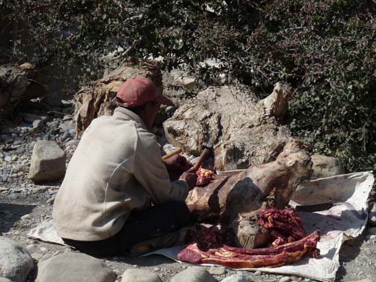 111106_Nepal_Mustang_0302_Kagbeni_Chele