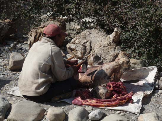 111106_Nepal_Mustang_0304_Kagbeni_Chele