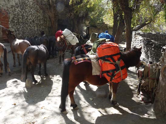 111106_Nepal_Mustang_0327_Kagbeni_Chele