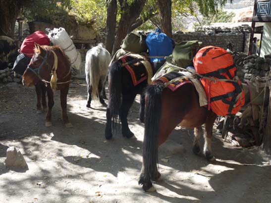 111106_Nepal_Mustang_0328_Kagbeni_Chele