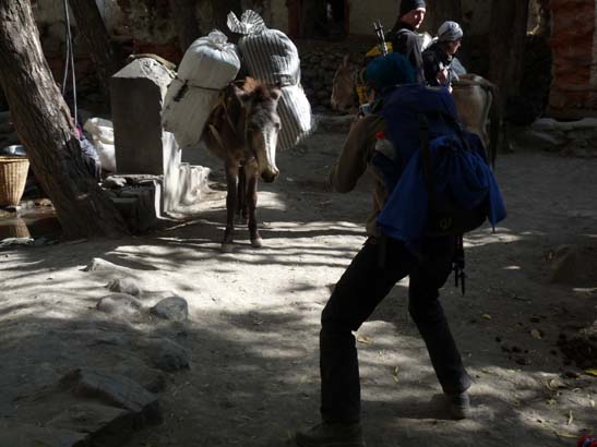 111106_Nepal_Mustang_0332_Kagbeni_Chele
