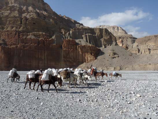 111106_Nepal_Mustang_0348_Kagbeni_Chele