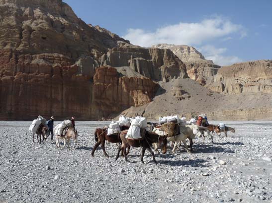 111106_Nepal_Mustang_0349_Kagbeni_Chele