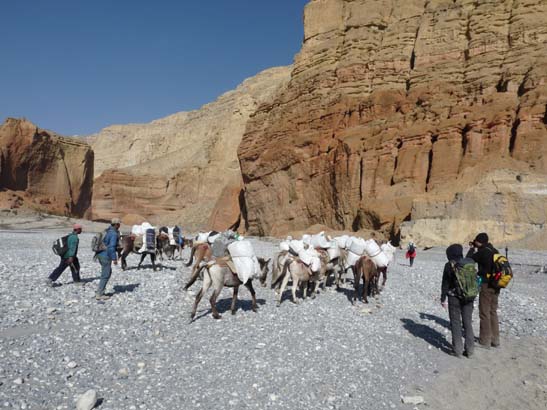 111106_Nepal_Mustang_0350_Kagbeni_Chele