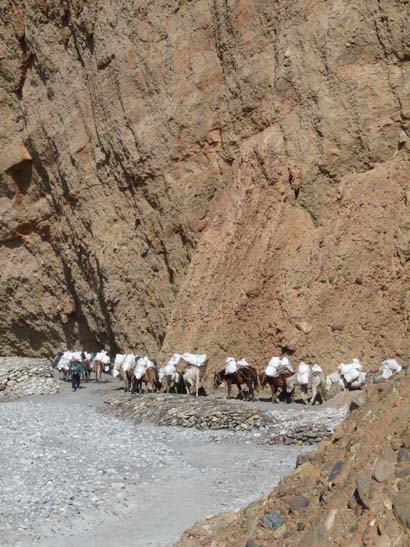 111106_Nepal_Mustang_0353_Kagbeni_Chele