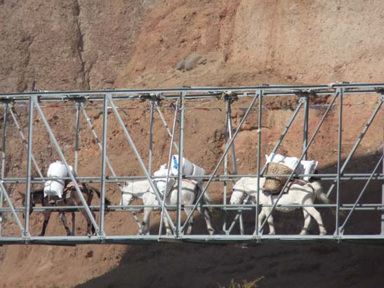 111106_Nepal_Mustang_0358_Kagbeni_Chele