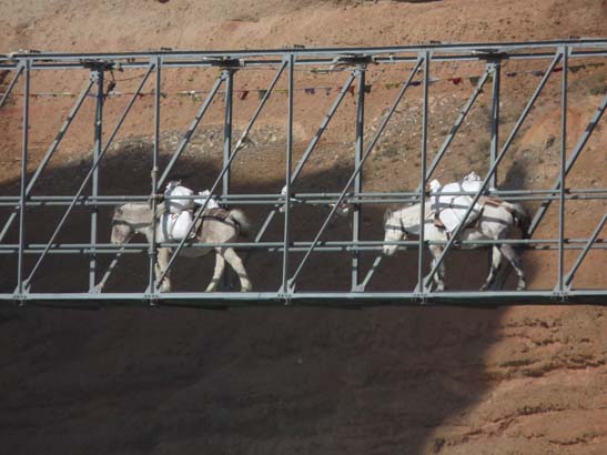 111106_Nepal_Mustang_0360_Kagbeni_Chele