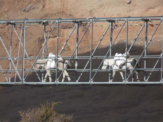 111106_Nepal_Mustang_0361_Kagbeni_Chele