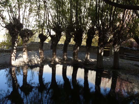 111106_Nepal_Mustang_0365_Kagbeni_Chele