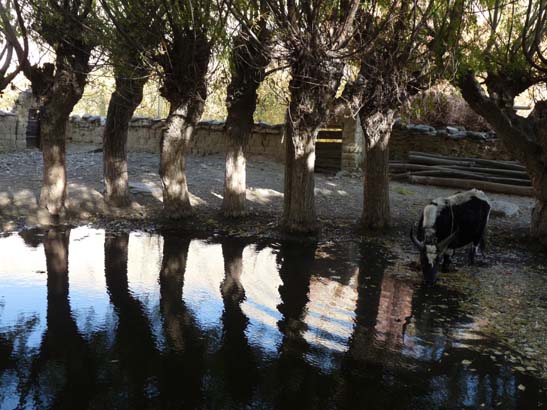 111106_Nepal_Mustang_0367_Kagbeni_Chele