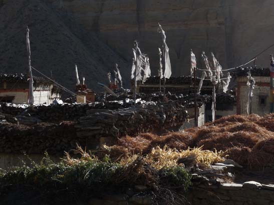 111107_Nepal_Mustang_0372_Chele_Geling