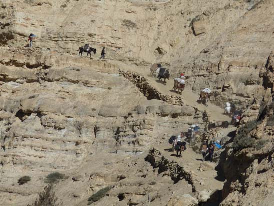 111107_Nepal_Mustang_0388_Chele_Geling