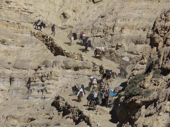 111107_Nepal_Mustang_0389_Chele_Geling