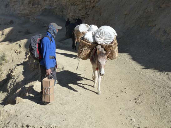 111107_Nepal_Mustang_0395_Chele_Geling