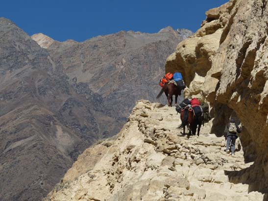 111107_Nepal_Mustang_0409_Chele_Geling