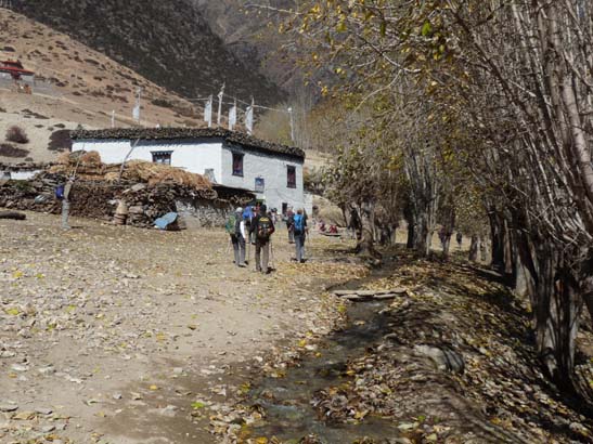 111107_Nepal_Mustang_0481_Chele_Geling