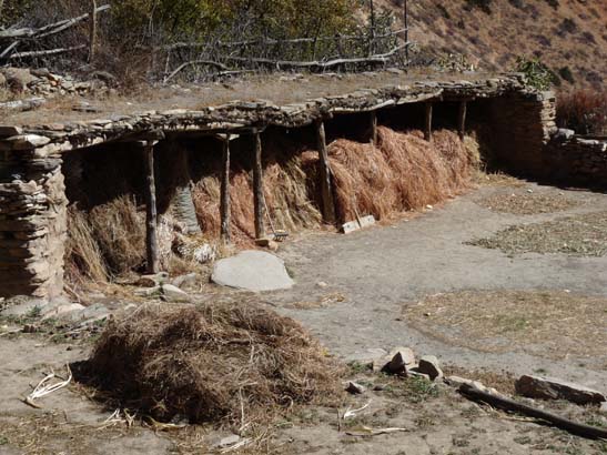 111107_Nepal_Mustang_0487_Chele_Geling