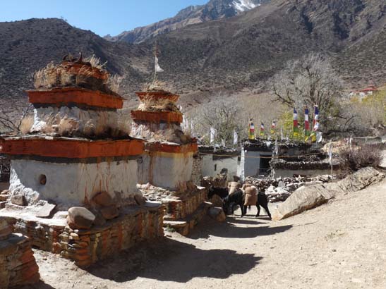 111107_Nepal_Mustang_0491_Chele_Geling