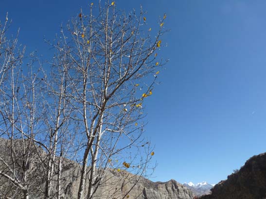 111107_Nepal_Mustang_0504_Chele_Geling