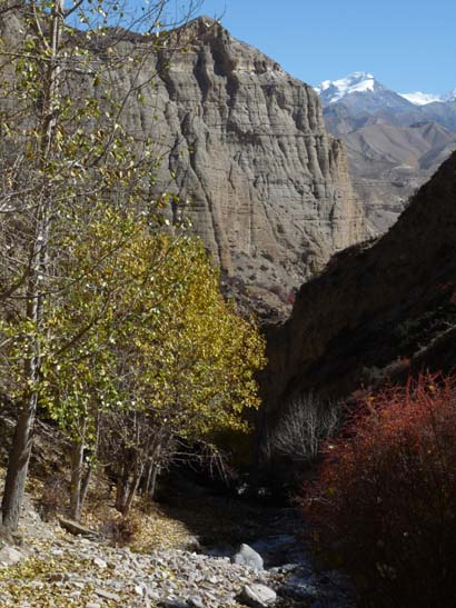 111107_Nepal_Mustang_0508_Chele_Geling