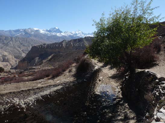 111107_Nepal_Mustang_0509_Chele_Geling