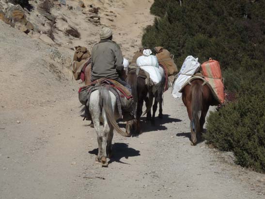 111107_Nepal_Mustang_0516_Chele_Geling