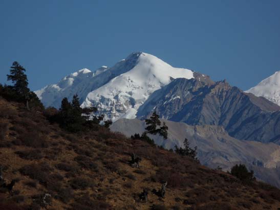 111107_Nepal_Mustang_0542_Chele_Geling