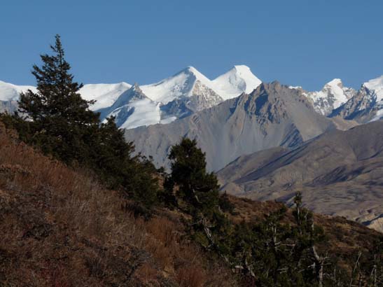 111107_Nepal_Mustang_0549_Chele_Geling