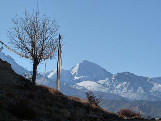 111108_Nepal_Mustang_0599_Geling_Tsarang