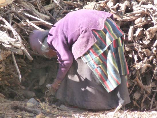 111108_Nepal_Mustang_0610_Geling_Tsarang