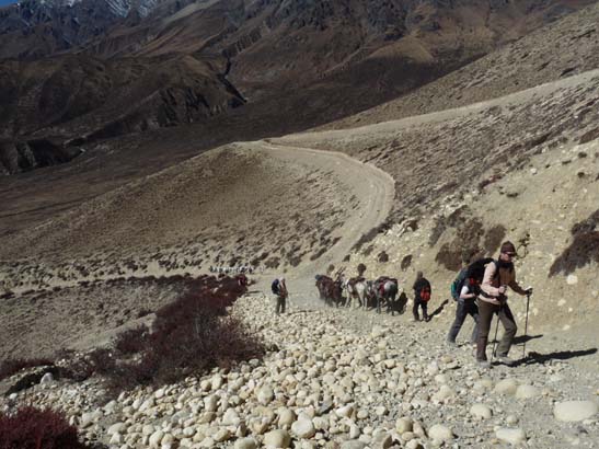 111108_Nepal_Mustang_0625_Geling_Tsarang