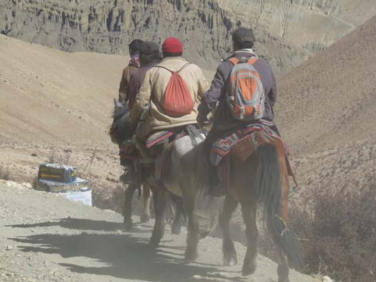 111108_Nepal_Mustang_0642_Geling_Tsarang