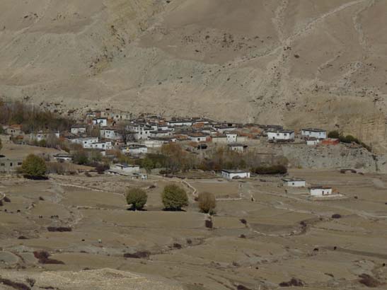 111108_Nepal_Mustang_0660_Geling_Tsarang
