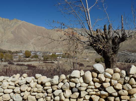 111108_Nepal_Mustang_0662_Geling_Tsarang