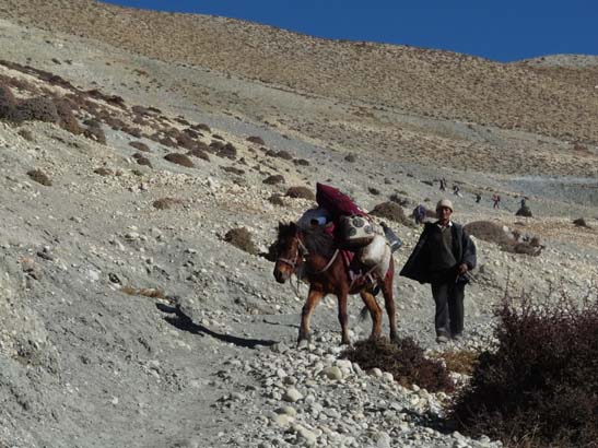 111108_Nepal_Mustang_0710_Geling_Tsarang