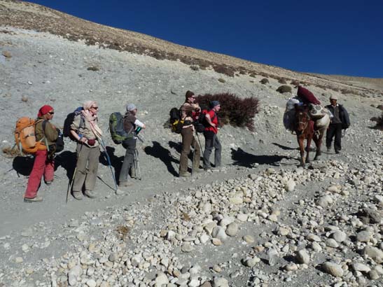 111108_Nepal_Mustang_0713_Geling_Tsarang