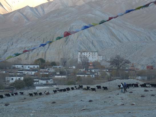 111108_Nepal_Mustang_0724_Geling_Tsarang