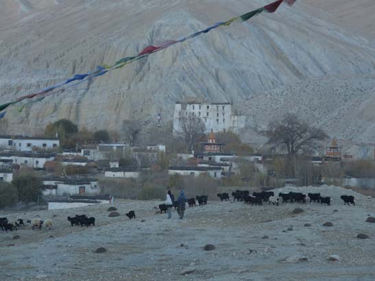 111108_Nepal_Mustang_0725_Geling_Tsarang
