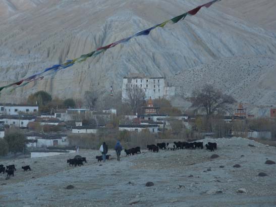 111108_Nepal_Mustang_0726_Geling_Tsarang