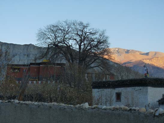 111108_Nepal_Mustang_0750_Geling_Tsarang